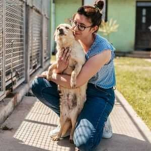 Взять собаку из приюта: несколько советов для супергероев