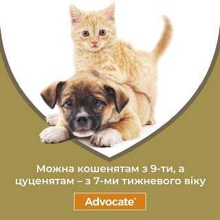 Advocate (Адвокат) Капли от блох, вшей, клещей и гельминтов для котов и кошек до 4-8 кг original3