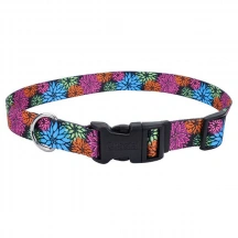Coastal (Костал) Pet Attire Style Нашийник із застібкою-фастекс для собак img