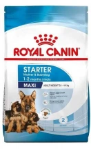 Royal Canin (Роял Канін) Maxi Starter Корм ​​для цуценят і годуючих сук великих порід img