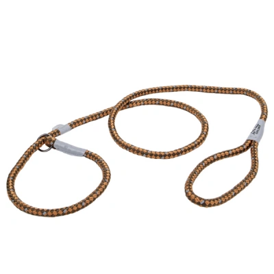 Coastal (Костал) K9 Explorer Ошейник-поводок рывковый, 1 см/1,8 м, пламя