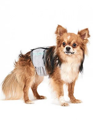 Природа Pet Fashion Пояс гигиенический для кобелей M