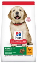 Hills (Хіллс) SP Puppy Large Chicken Корм ​​для цуценят великих порід з куркою img