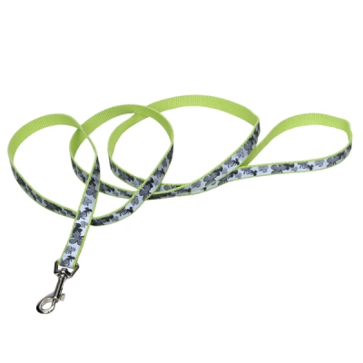 Coastal (Костал) Lazer Повідець для собак світловідбиваючий з нейлону, 1,6 см/1,2 м конюшина