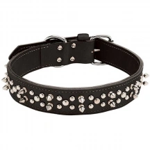 Coastal (Костал) Spiked Leather Подвійний шкіряний нашийник із шипами для собак img