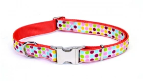 Coastal (Костал) Pet Attire Ribbon Нейлоновий нашийник для собак img