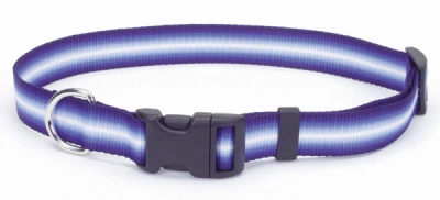 Coastal (Костал) Trendz Graduated Еластичний нейлоновий нашийник для собак, 1 см/30 см, пурпурний