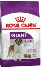 .Royal Canin (Роял Канін) Giant Adult Сухий корм для дорослих собак великих і гігантських порід