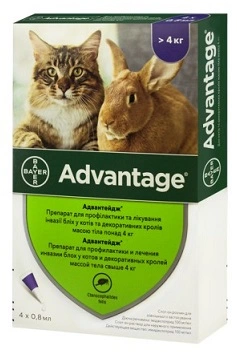 Advantage (Адвантейдж) 80 Краплі від бліх для котів та кішок 4-8 кг 4 шт