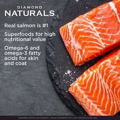 Сухий корм Diamond Naturals All Life Stages Skin & Coat Dog Salmon