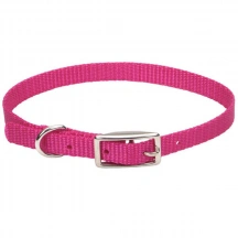 Coastal (Костал) Nylon Web Собачий нейлоновий нашийник, 1 см/30 см, рожевий img
