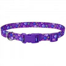 Coastal (Костал) Pet Attire Style Нашийник із застібкою-фастекс для собак, 1 см/12-30 см, лапка img