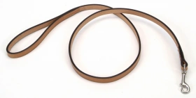 Coastal (Костал) Circle-T Повідець для собак шкіряний, 2,5 см/1,2 м, бежевий img