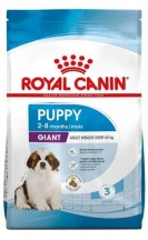 Royal Canin (Роял Канін) Giant Puppy Сухий корм для цуценят гігантських порід собак img