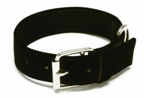 Coastal (Костал) Double Ply Nylon Нашийник для великих собак img