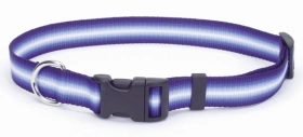 Coastal (Костал) Trendz Graduated Еластичний нейлоновий нашийник для собак img