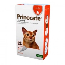Prinocate (Прінокат) Краплі на холку від глистів, бліх і кліщів для котів і кішок до 4 кг img