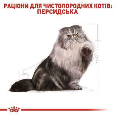 Корм для кошек Royal Canin (Роял Канин) Persian Adult