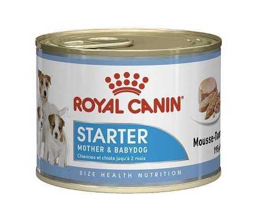 Вологий корм Royal Canin Starter Mousse