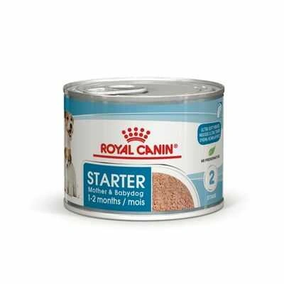 Royal Canin (Роял Канін) Starter Mousse Консерви для цуценят, вагітних та годуючих собак