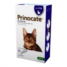 Prinocate (Прінокат) Краплі на холку від глистів, бліх і кліщів для котів і кішок 4-8 кг img