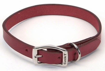 Coastal (Костал) Circle-T Leather Town Шкіряний нашийник для собак