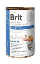 Brit Veterinary Diet (Бріт Ветерінарі Дієт) Recovery Dog & Cat Беззернова ветеринарна волога дієта з лососем для собак та котів у період одужання