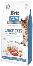 Brit Care (Бріт Кеа) Cat Grain Free Large Cats Power & Vitality Беззерновий корм для дорослих котів і кішок великих порід з качкою і куркою img