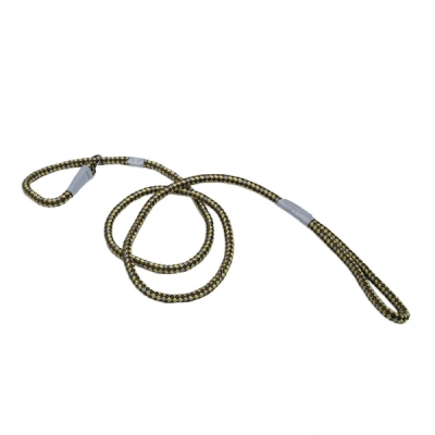 Coastal (Костал) K9 Explorer Ошейник-поводок рывковый, 1 см/1,8 м, папоротник