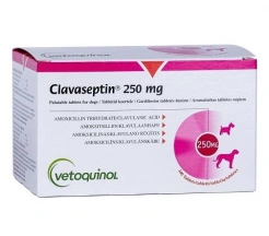 Clavaseptin (Клавасептин) Препарат для лікування пародонтальних інфекцій у собак та лікування шкірних інфекцій у кішок img