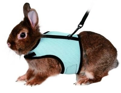 Trixie (Тріксі) Повідець та м'яка нейлонова шлейка для великого кролика