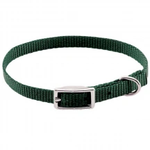 Coastal (Костал) Nylon Web Собачий нейлоновий нашийник img