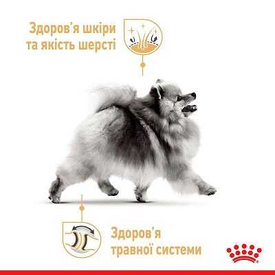 Влажный корм Royal Canin Pomeranian Loaf