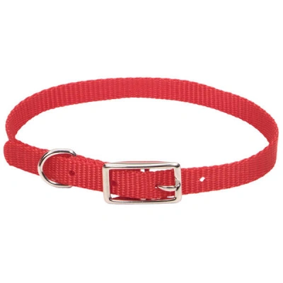 Coastal (Костал) Nylon Web Собачий нейлоновий нашийник, 1 см/30 см, червоний
