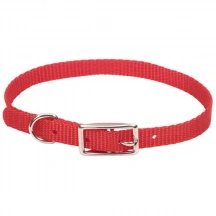 Coastal (Костал) Nylon Web Собачий нейлоновий нашийник, 1 см/30 см, червоний img