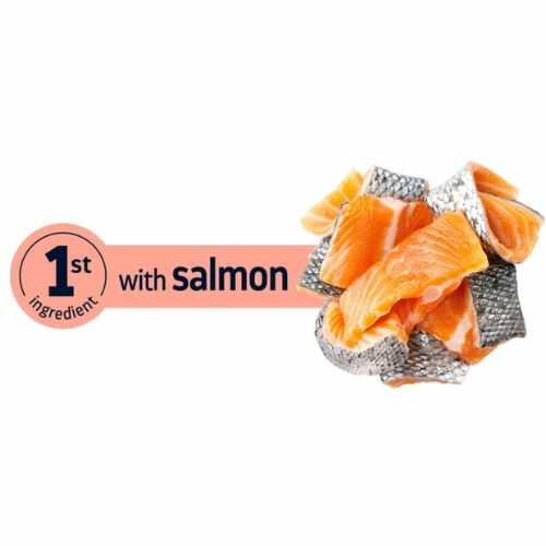 Advance Cat Salmon Sensitive