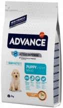 Advance (Адванс) Maxi Puppy Сухий корм для цуценят великих порід