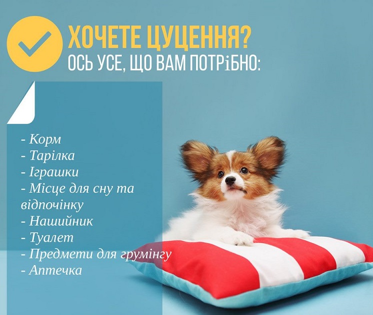 інтернет зоомагазин