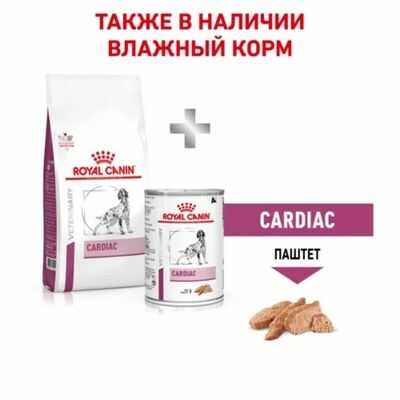 Від стресу у собак загострюються серцево-судинні захворювання