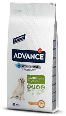 Сухий корм Advance (Адванс) Maxi Junior