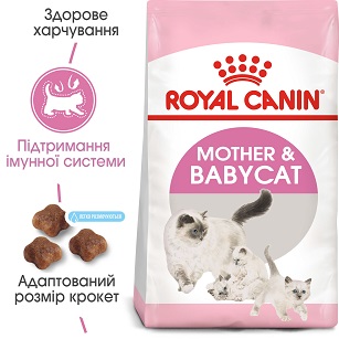 Сухий корм для кошенят і кішок, що годують, Royal Canin Mother & Babycat