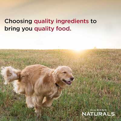 Diamond Naturals Breeder Formula Chicken & Rice