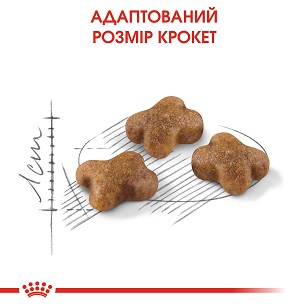 Royal Canin Kitten (Роял Канін Кіттен)