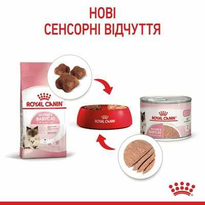 Консервы для котят Royal Canin Babycat Instinctive