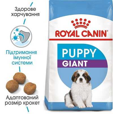 Сухой корм Royal Canin Giant Puppy