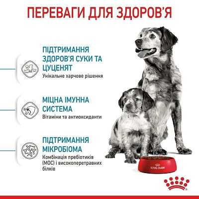 Сухой корм Royal Canin для щенков средних пород