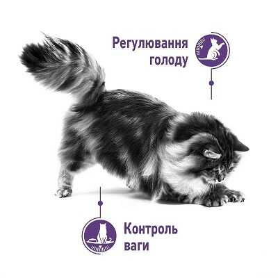 Корм для кошек Royal Canin (Роял Канин) Sterilised App.Control