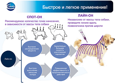 Капли от блох и клещей для собак купить