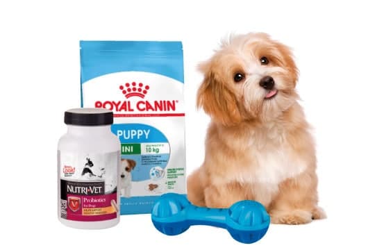 зоомагазин Київ Petko